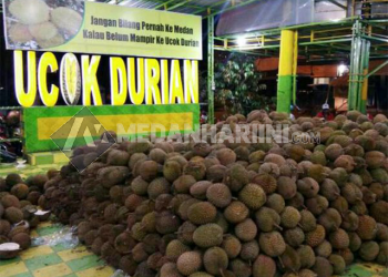 Ucok Durian Medan