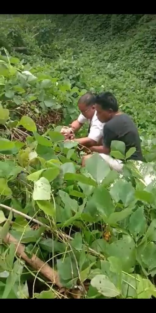Warga Asahan Heboh, Bayi Baru Lahir Tergeletak di Pembuangan Sampah