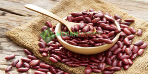Kacang Merah Dipercaya Bisa Turunkan Berat Badan, Simak Manfaatnya