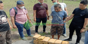 Pria ini Diringkus Polisi Usai Bawa Ganja 30 Kg