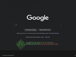 Kata Kunci Paling Populer di Pencarian Google