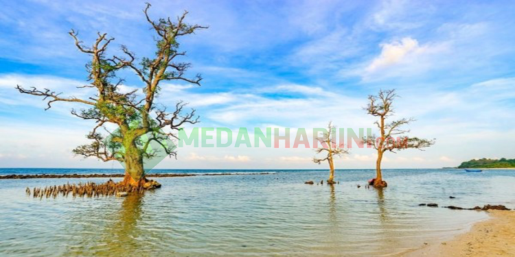 Pantai Lhok Mee
