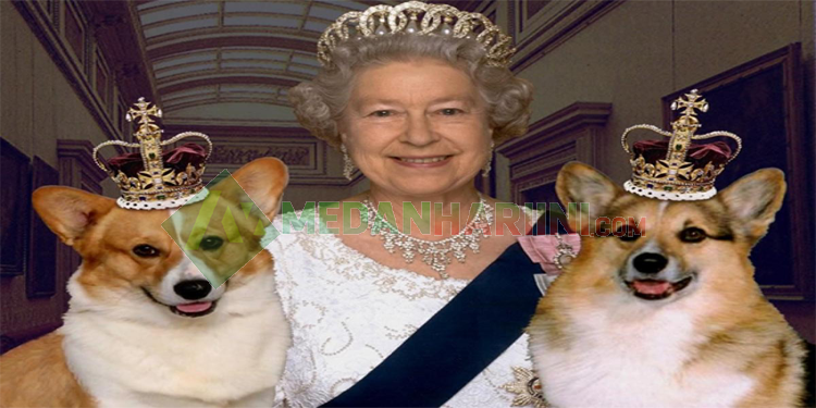 Ratu Elizabeth II Bersama Anjing Kesayangannya