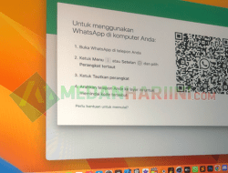 WhatsApp Bakal Hadirkan Fitur Transfer Chat Tanpa Backup