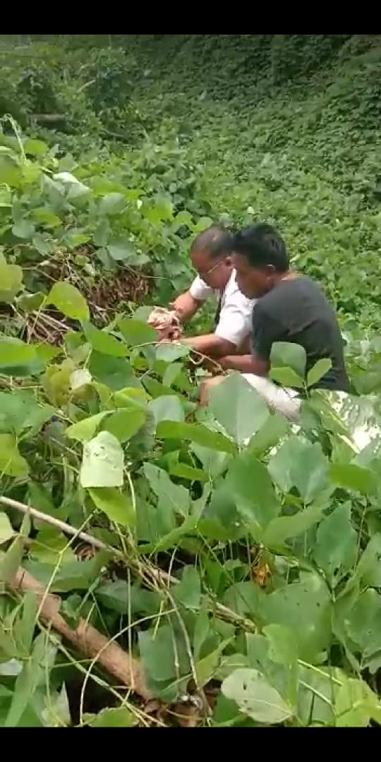 Bayi Dibuang Ketempat Sampah