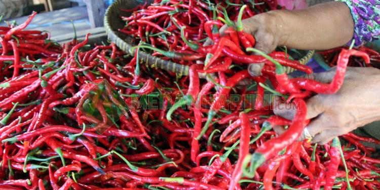 Harga Cabai Merah yang Meroket