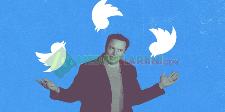 Elon Musk yang Kini Menjadi Petinggi Twitter (TechCrunch)